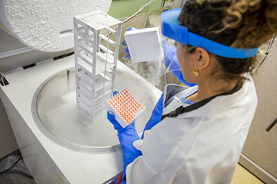 medical student working in lab