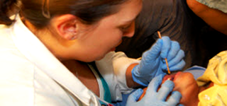 A doctor looks into the mouth of a patient