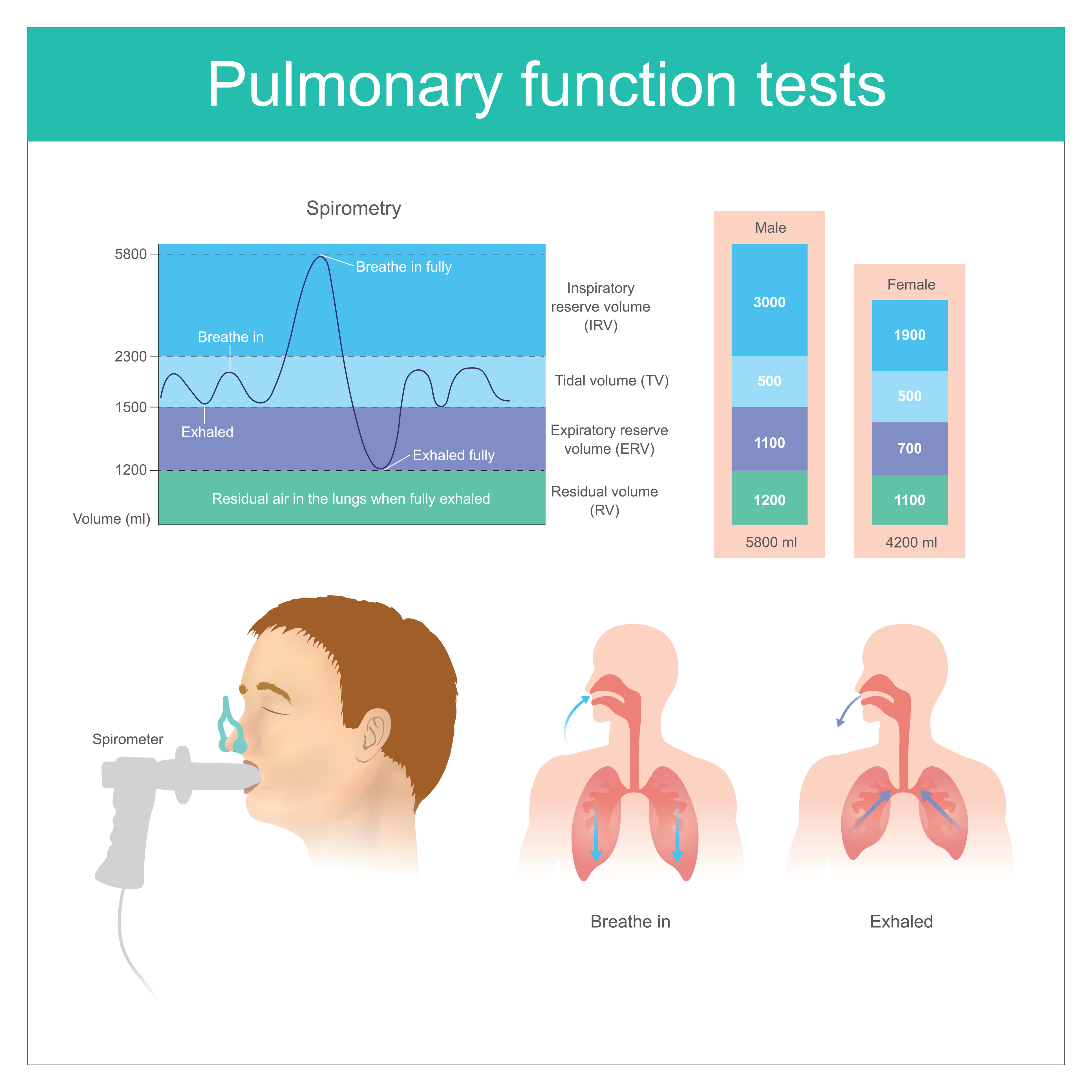 Details about spirometry testing